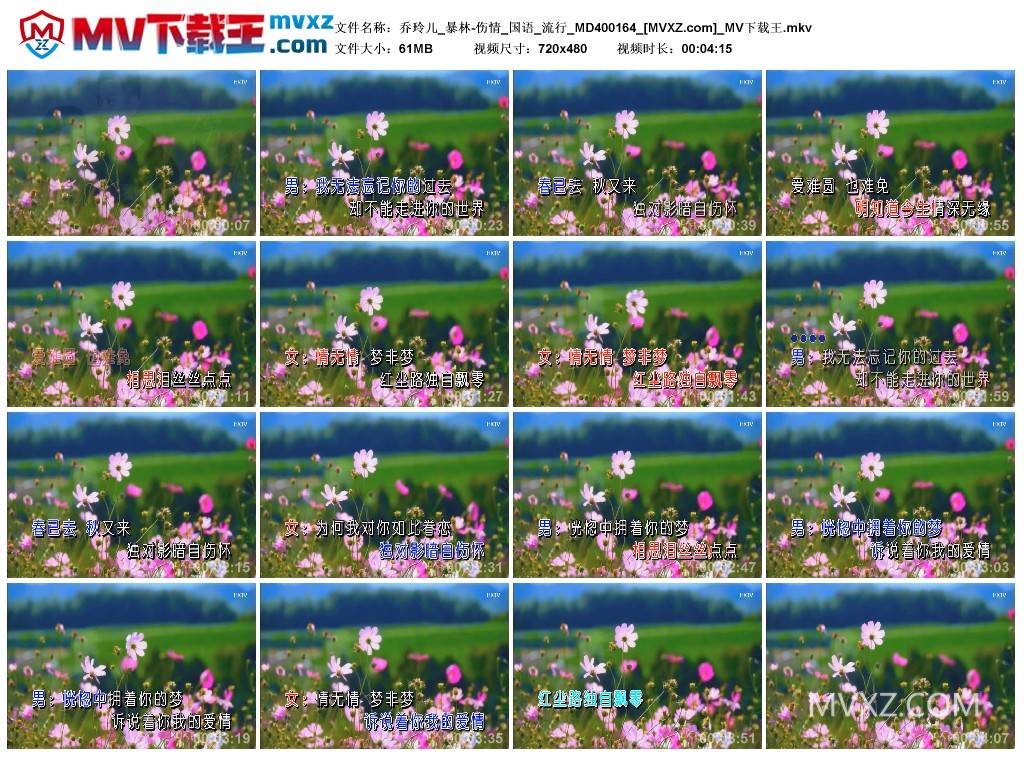 乔玲儿_暴林-伤情_国语_流行_MD400164